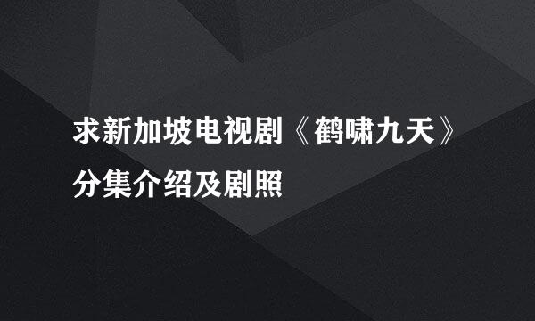 求新加坡电视剧《鹤啸九天》分集介绍及剧照