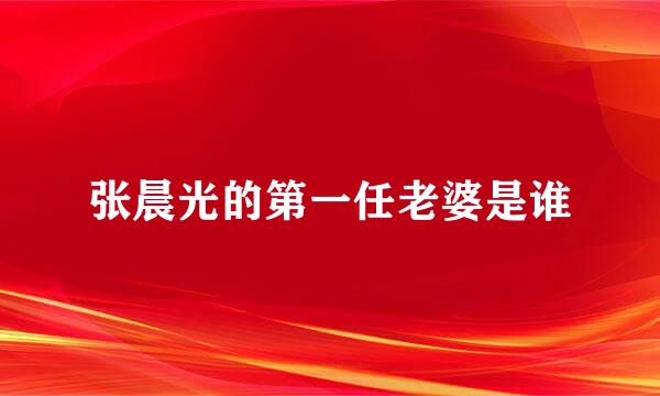 张晨光的第一任老婆是谁