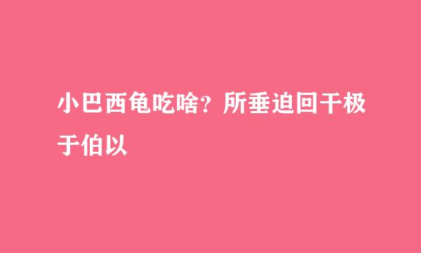 小巴西龟吃啥？所垂迫回干极于伯以