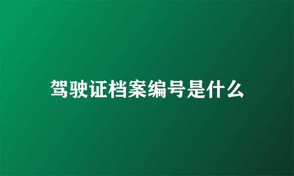 驾驶证档案编号是什么