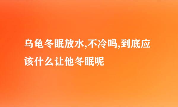 乌龟冬眠放水,不冷吗,到底应该什么让他冬眠呢