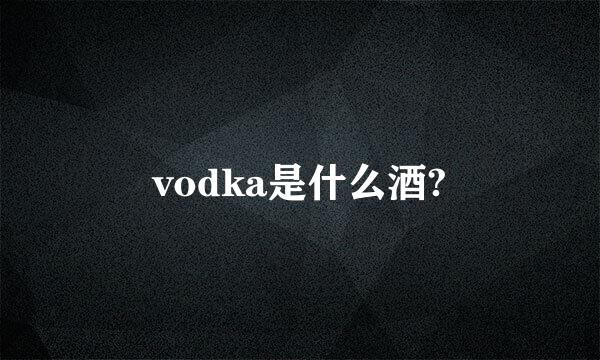 vodka是什么酒?