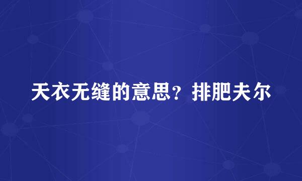 天衣无缝的意思？排肥夫尔