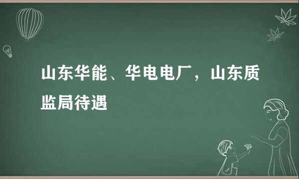 山东华能、华电电厂，山东质监局待遇