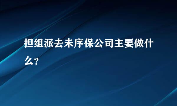 担组派去未序保公司主要做什么？