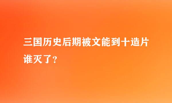 三国历史后期被文能到十造片谁灭了？