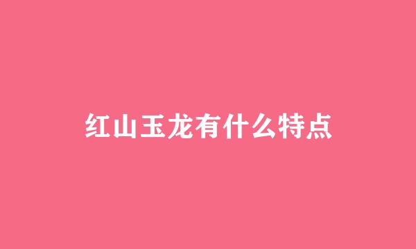 红山玉龙有什么特点