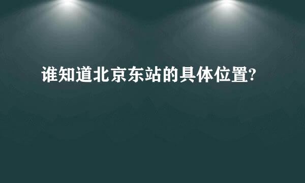 谁知道北京东站的具体位置?