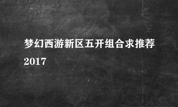 梦幻西游新区五开组合求推荐2017