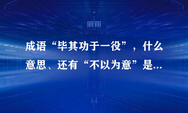 成语“毕其功于一役”，什么意思、还有“不以为意”是什么意思