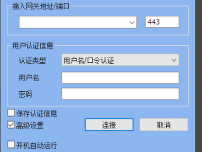 电脑sv独立客户端怎么连不上