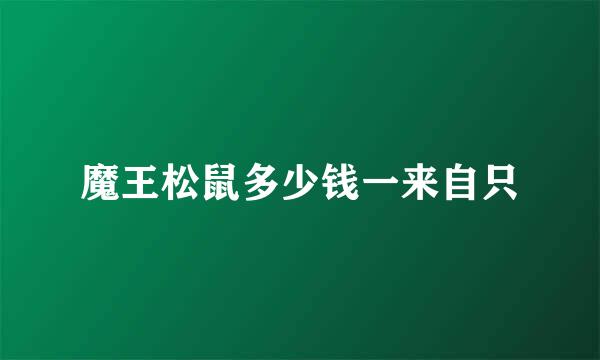 魔王松鼠多少钱一来自只