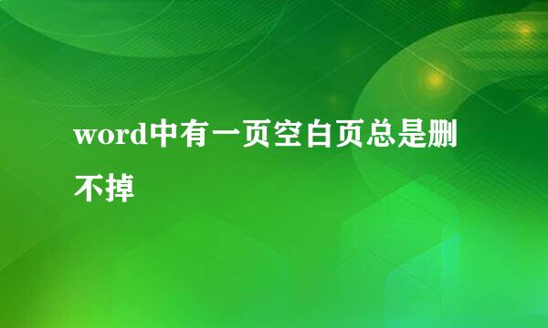 word中有一页空白页总是删不掉