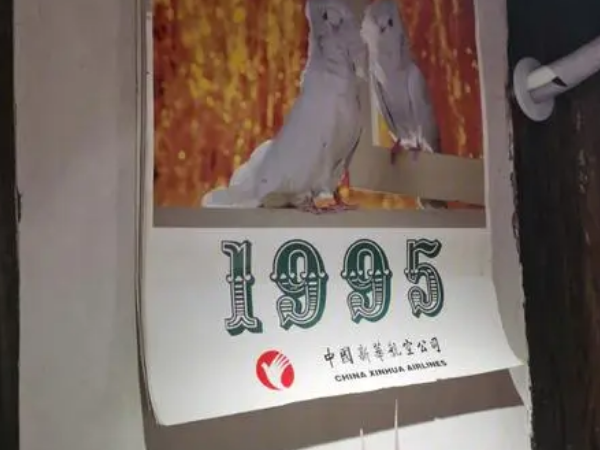 1995今年多大年龄