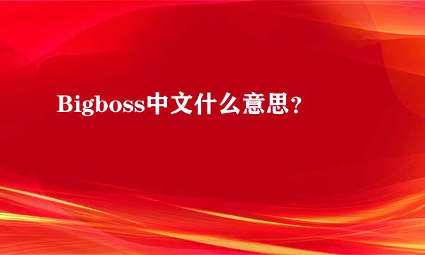 Bigboss中文什么意思？