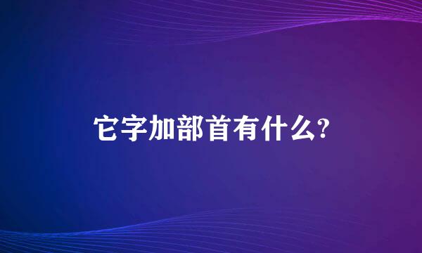 它字加部首有什么?