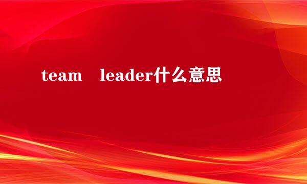 team leader什么意思