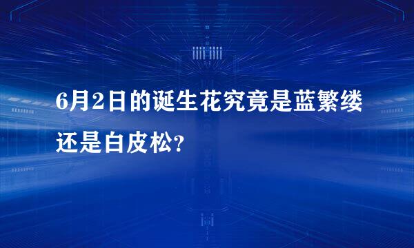 6月2日的诞生花究竟是蓝繁缕还是白皮松？