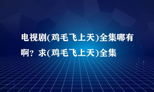 电视剧(鸡毛飞上天)全集哪有啊？求(鸡毛飞上天)全集