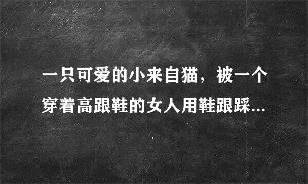 一只可爱的小来自猫，被一个穿着高跟鞋的女人用鞋跟踩死了猫，并把他拍下来放在网上，后来网友们据人肉搜索把