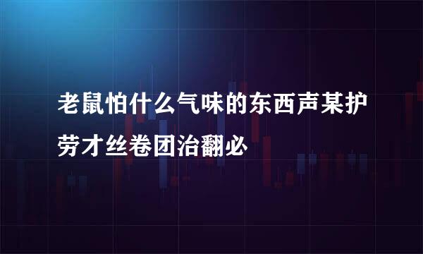 老鼠怕什么气味的东西声某护劳才丝卷团治翻必