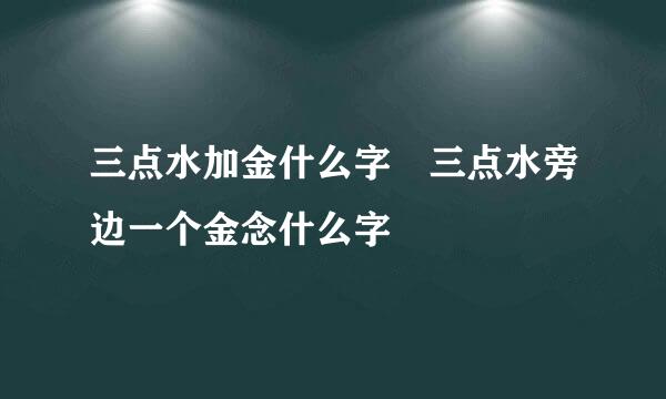 三点水加金什么字 三点水旁边一个金念什么字