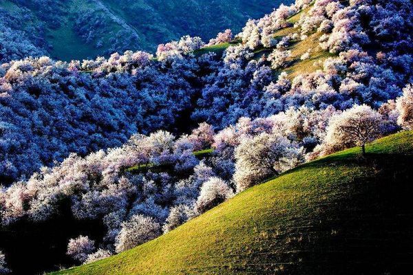 4月份去哪旅游好 这些4月份去旅游最好的地方