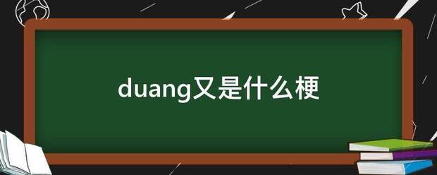 duang又是什么梗