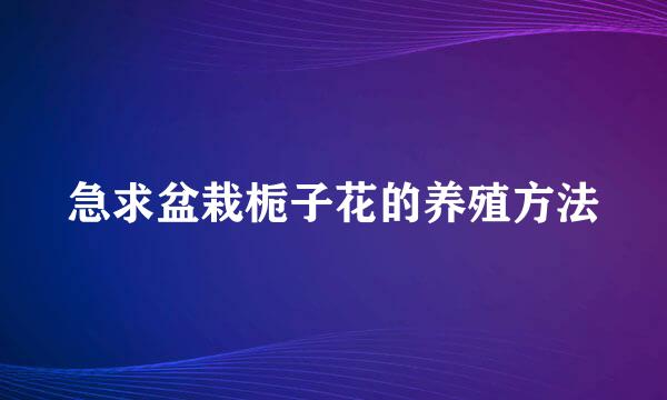 急求盆栽栀子花的养殖方法