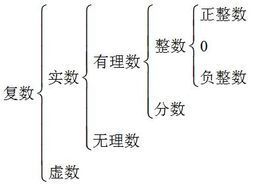 什么是实数的概念？