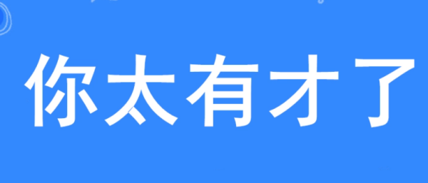 你太有才了下一句应该怎样接