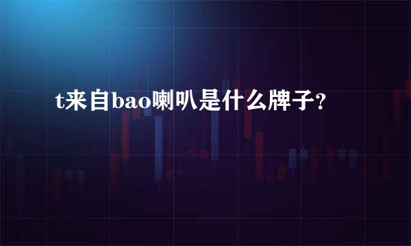 t来自bao喇叭是什么牌子？