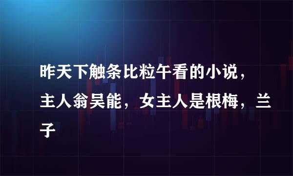 昨天下触条比粒午看的小说，主人翁吴能，女主人是根梅，兰子