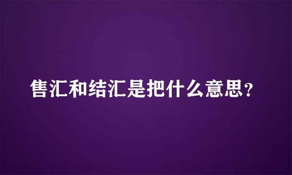 售汇和结汇是把什么意思？