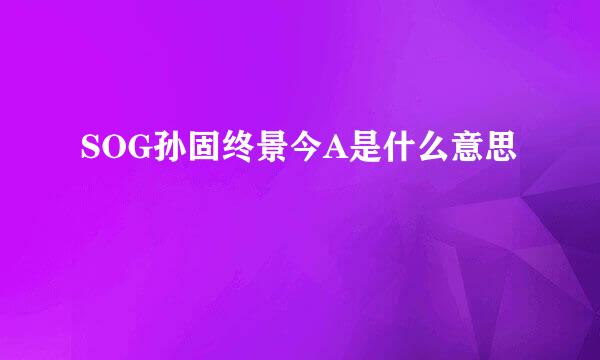 SOG孙固终景今A是什么意思