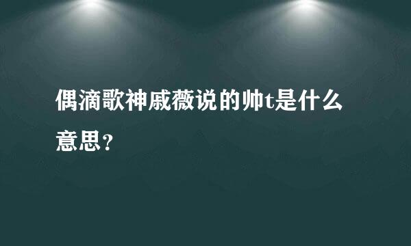 偶滴歌神戚薇说的帅t是什么意思？