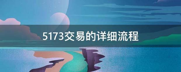 5173交易的详细流程