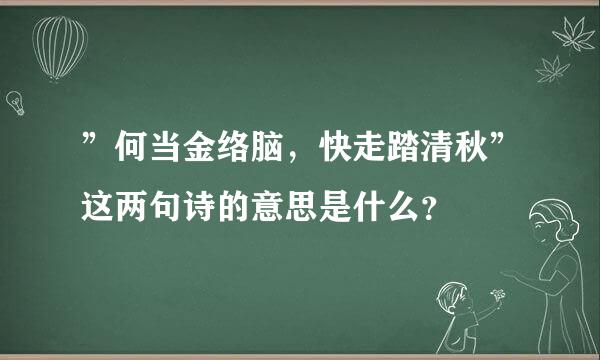 ”何当金络脑，快走踏清秋”这两句诗的意思是什么？