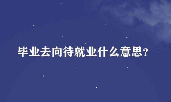 毕业去向待就业什么意思？