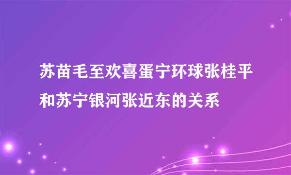 苏苗毛至欢喜蛋宁环球张桂平和苏宁银河张近东的关系