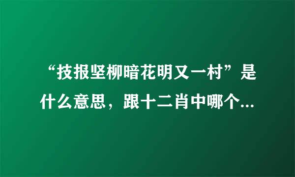 “技报坚柳暗花明又一村”是什么意思，跟十二肖中哪个生肖有关系？