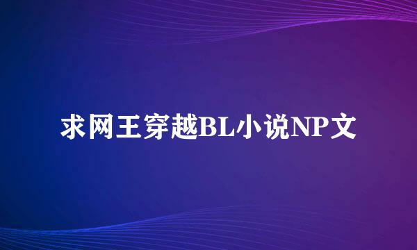 求网王穿越BL小说NP文