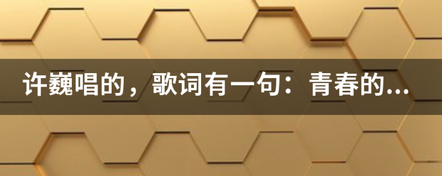 许巍唱的，歌词有一句：青春的岁月，我们身不由己。问歌名是什么？