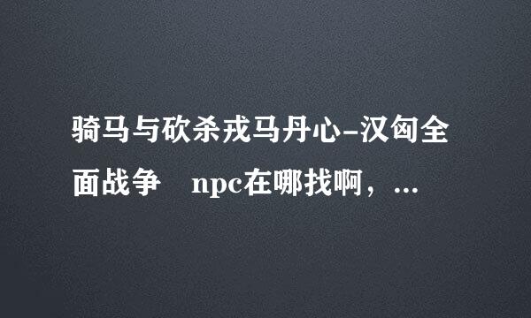 骑马与砍杀戎马丹心-汉匈全面战争 npc在哪找啊，酒馆里只找到4个， 还有，在文件夹里有没有设置npc的属性