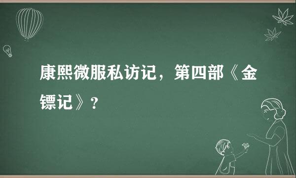 康熙微服私访记，第四部《金镖记》？