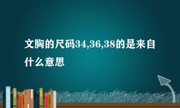 文胸的尺码34,36,38的是来自什么意思