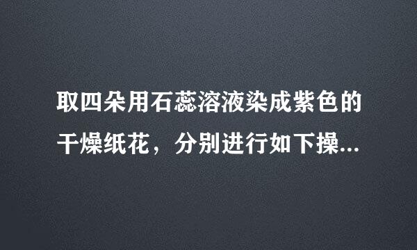 取四朵用石蕊溶液染成紫色的干燥纸花，分别进行如下操作，能够观察到纸花变红的是（  ）    A．