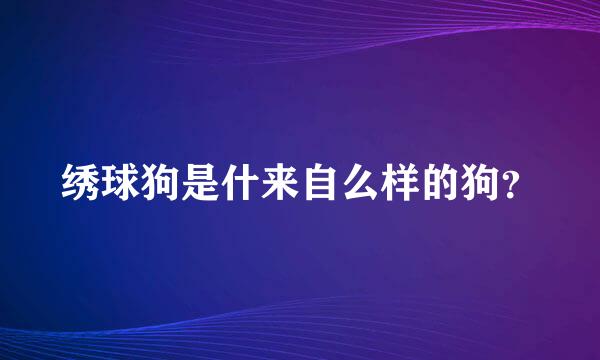 绣球狗是什来自么样的狗？