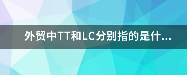 外贸中TT和LC分别指的是什么意思？