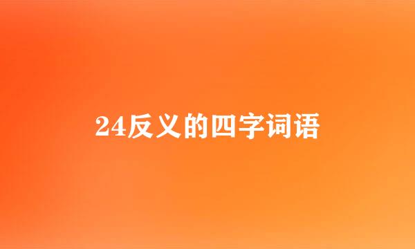 24反义的四字词语